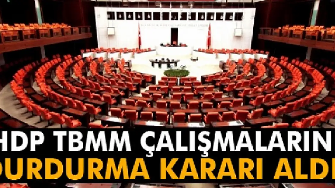 HDP: 'Yasama çalışmalarını durdurmaya karar verdik'