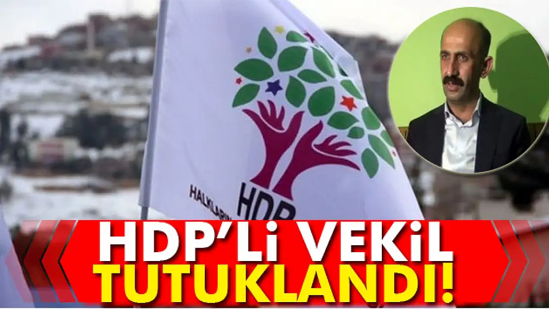 HDP Hakkari milletvekili Nihat Akdoğan tutuklandı