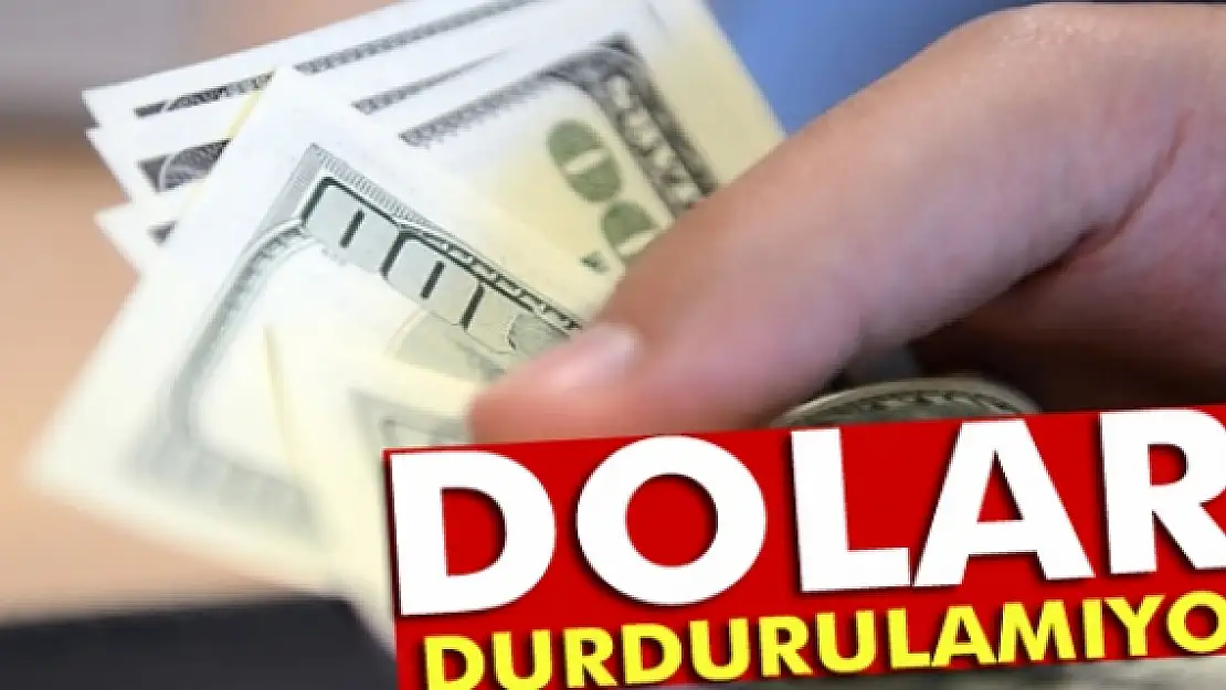 Dolar rekor tazeledi