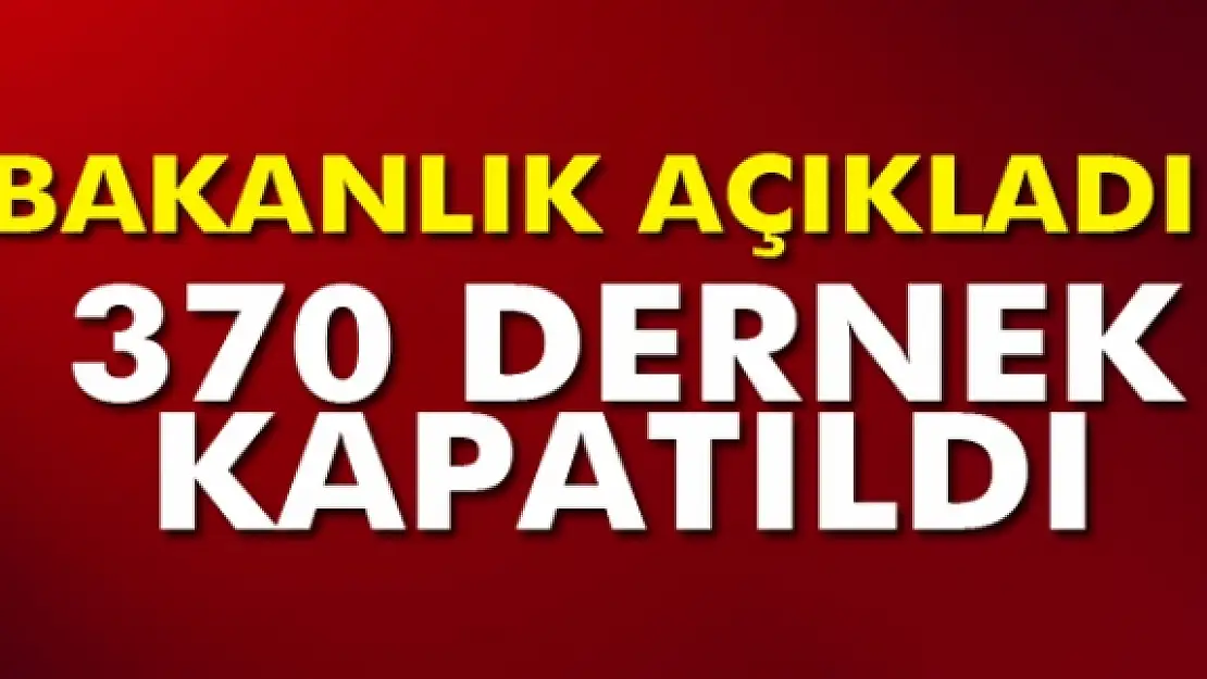 İçişleri Bakanlığı: 'Toplamda 370 derneğin faaliyeti valiliklerce durduruldu'