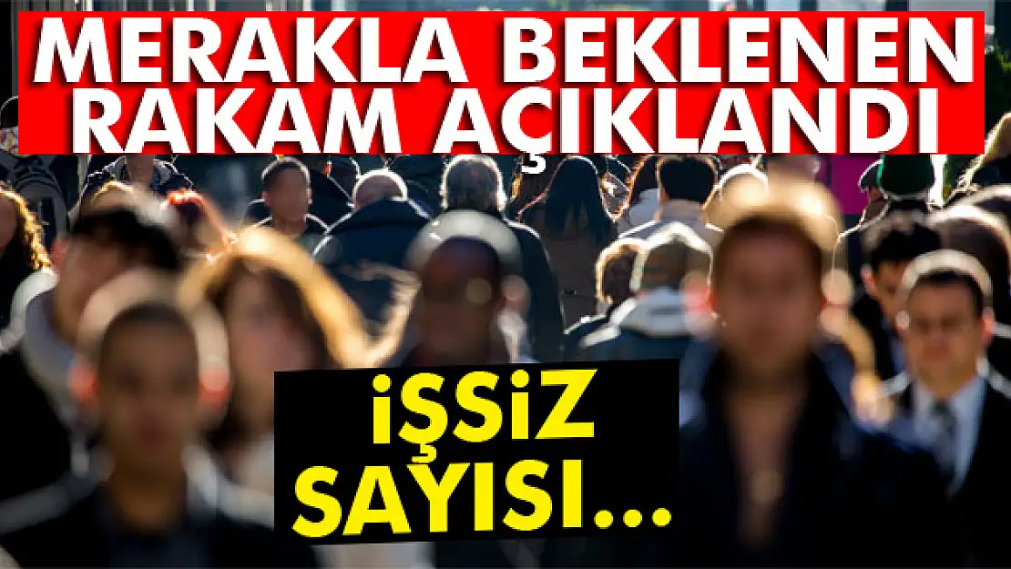 İşsizlik rakamları açıklandı