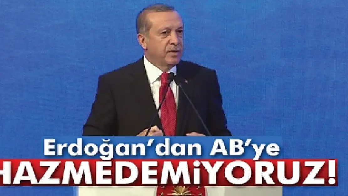 Erdoğandan ABye: 'Hazmedemiyoruz'