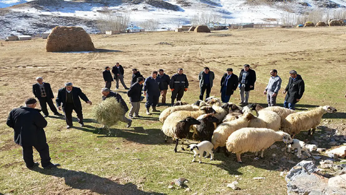 Çatak'ta Sürü Eğitimi Verildi