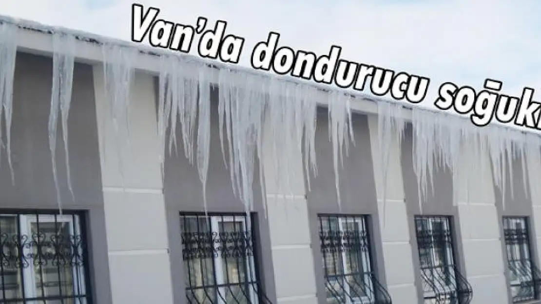 Van'da dondurucu soğuklar 