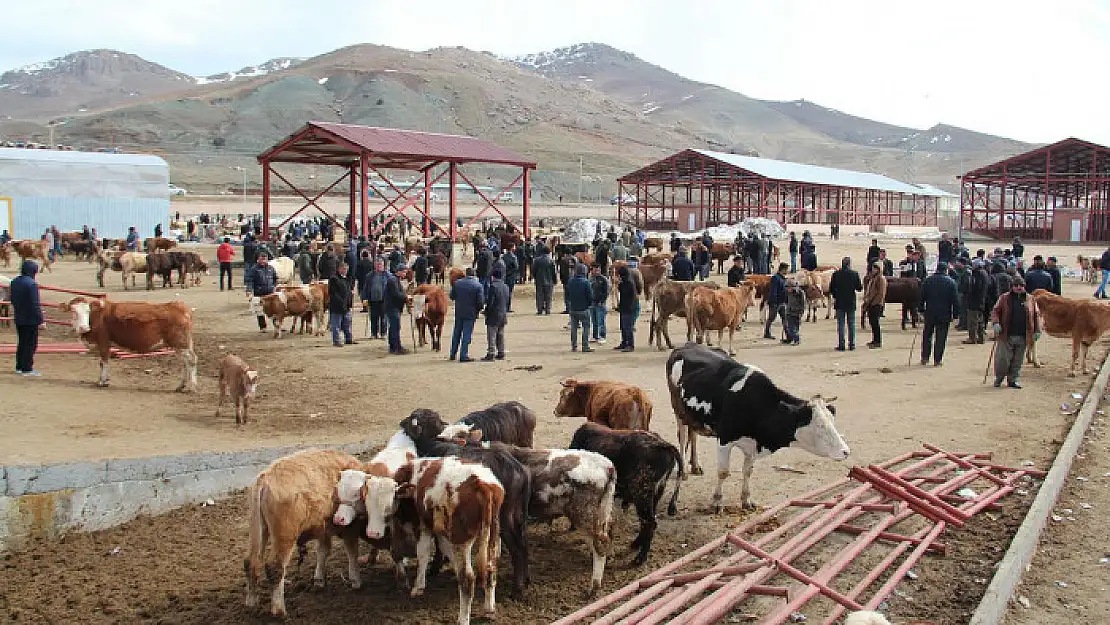 Canlı hayvan pazarı Van Ticaret Borsası'na devredildi