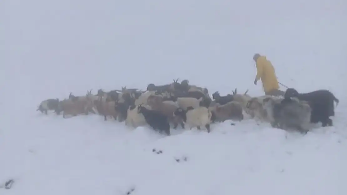 Kar yağışı çobanları hazırlıksız yakaladı