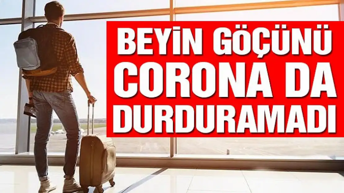 Türkiye'nin beyin göçünü Covid-19 da durduramadı!