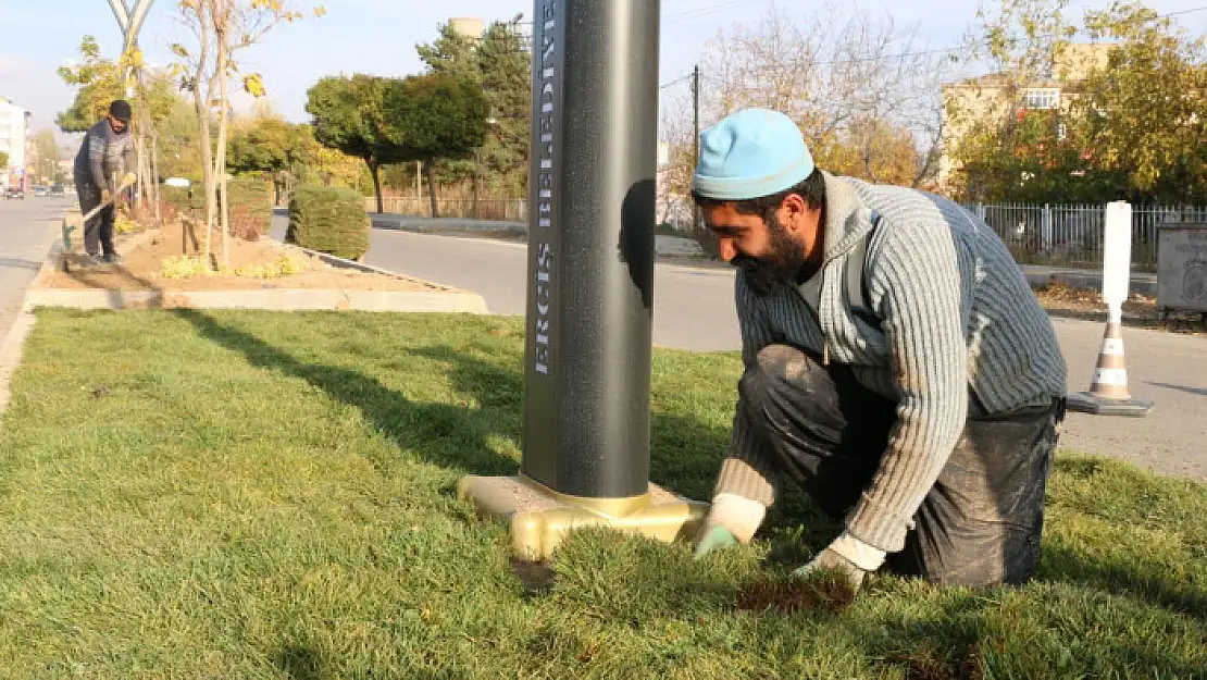 Erciş Belediyesinden çimlendirme çalışması