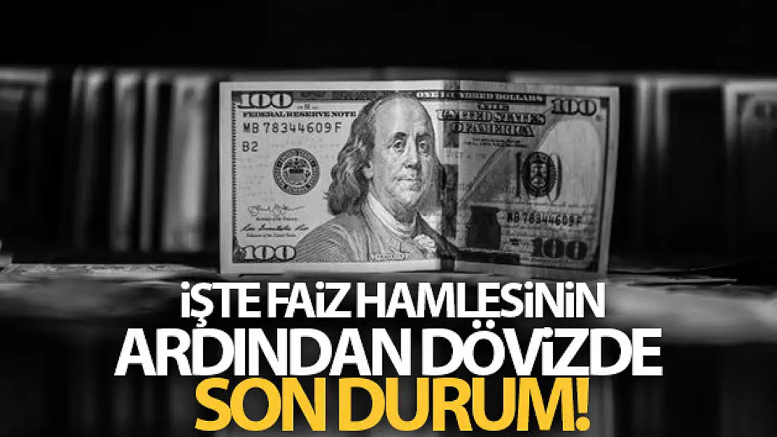 Faiz hamlesinin ardından dövizde son durum!