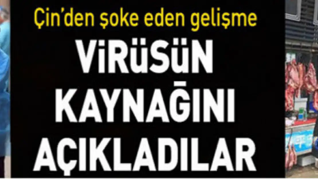 Çin dünyayı şoka uğrattı! Virüsün kaynağını açıkladılar