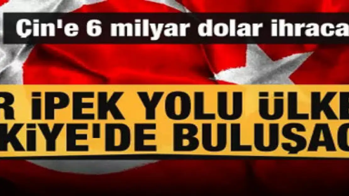 Çin'e 6 milyar dolar ihracat hedefi! Demir İpek Yolu ülkeleri Türkiye'de buluşacak