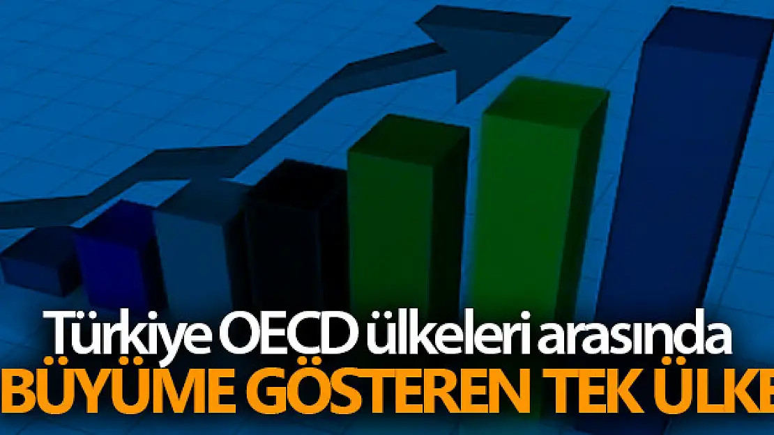 Türkiye OECD ülkeleri arasında büyüme gösteren tek ülke