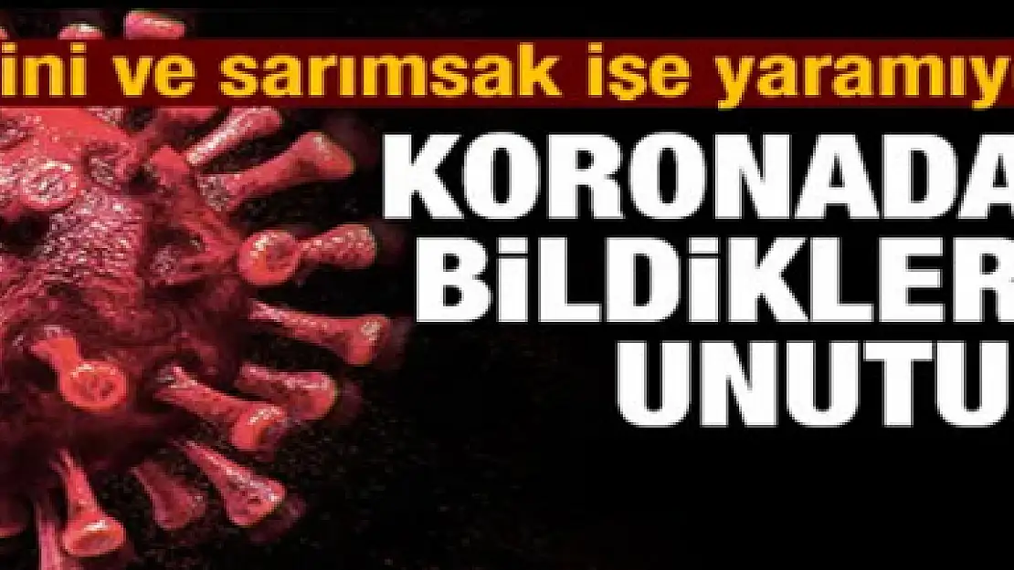 C vitamini ve sarımsak işe yaramıyormuş!