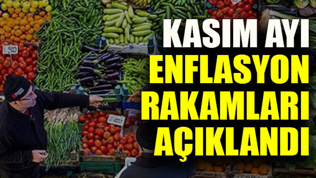 Kasım ayı enflasyonu açıklandı