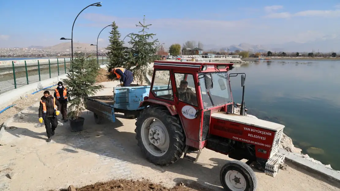 İskele Sahil kordonunun peyzajı başladı