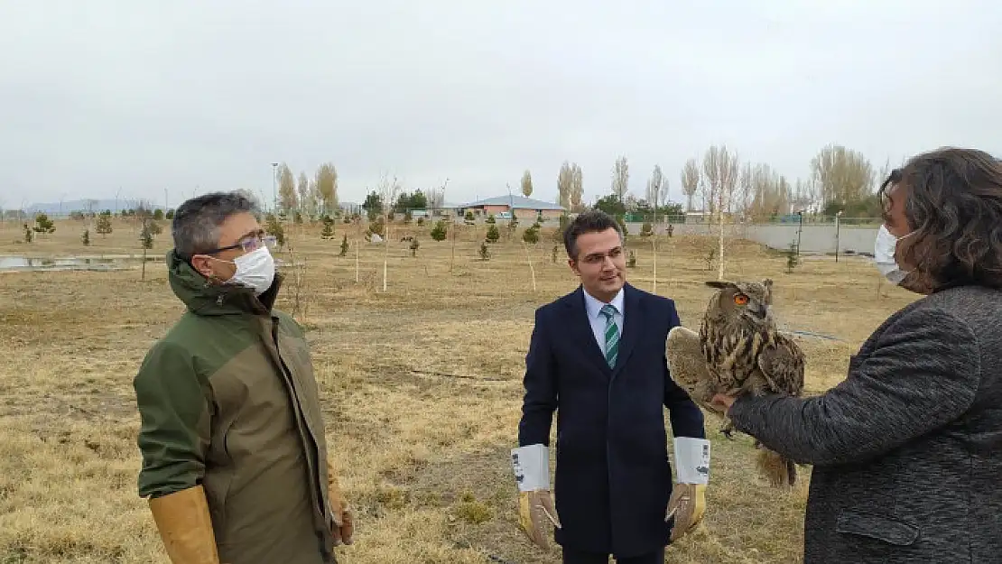 Tedavileri tamamlanan kuşlar özgürlüğüne kavuştu