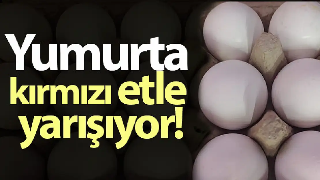 Bir koli yumurta 1 kilo kıymayı yakaladı