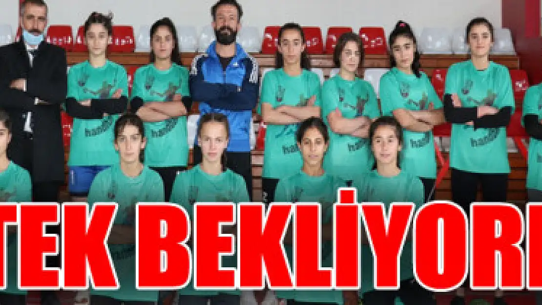 Van Hentbol Spor Kulübü destek bekliyor