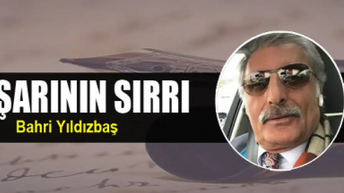 BAŞARININ SIRRI