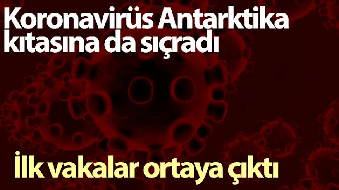 Koronavirüs Antarktika kıtasına da sıçradı