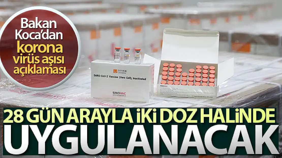 Bakan Koca: 'İnaktif aşının 28 gün arayla iki doz olarak yapılması uygun bulunmuştur'