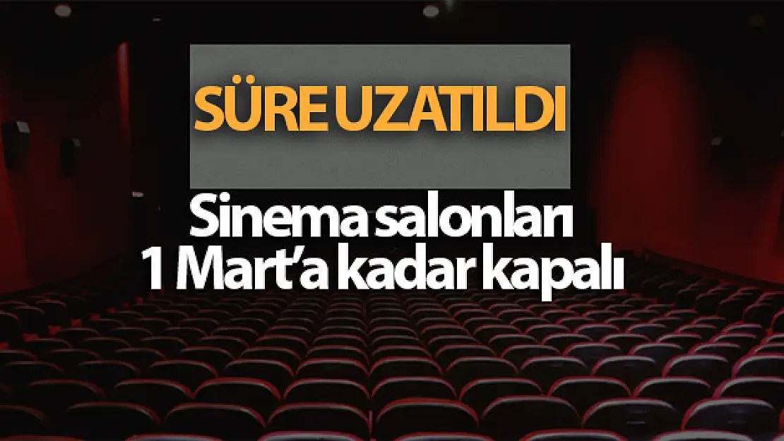 Sinema salonlarının faaliyetlerine ara verilen süre 1 Mart'a uzatıldı