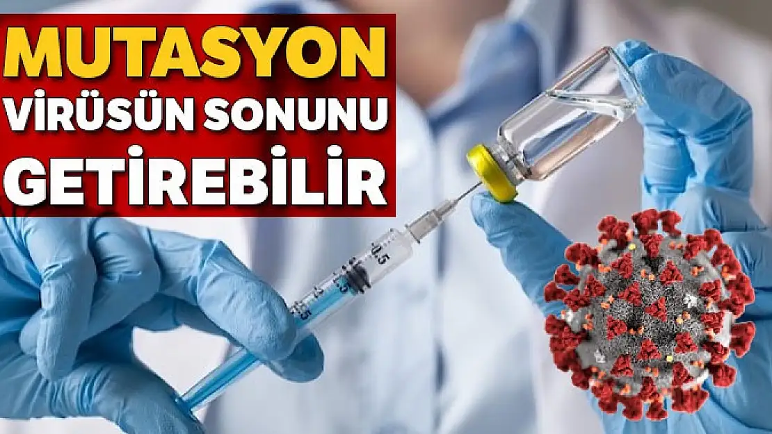 Mutasyon virüsün sonunu getirebilir