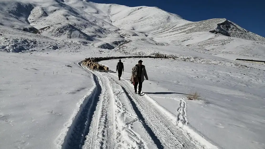 Vanlı çobanlar yayla sezonunu kapattı