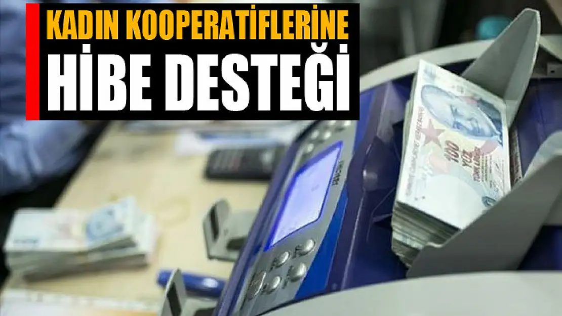 Kadın kooperatiflerine hibe desteği