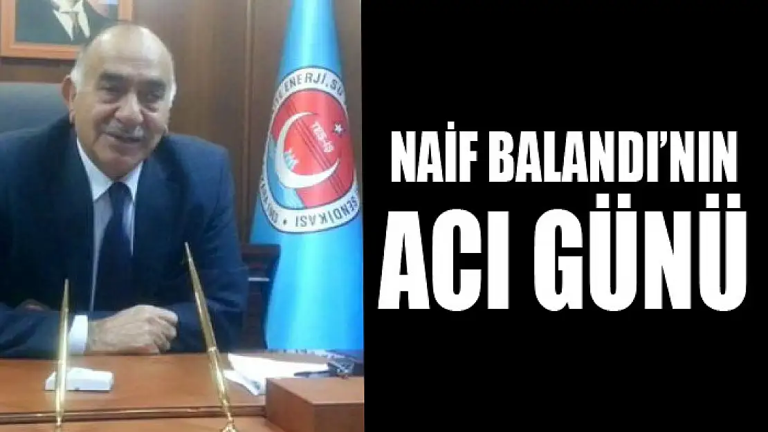 Naif Balandı'nın acı günü