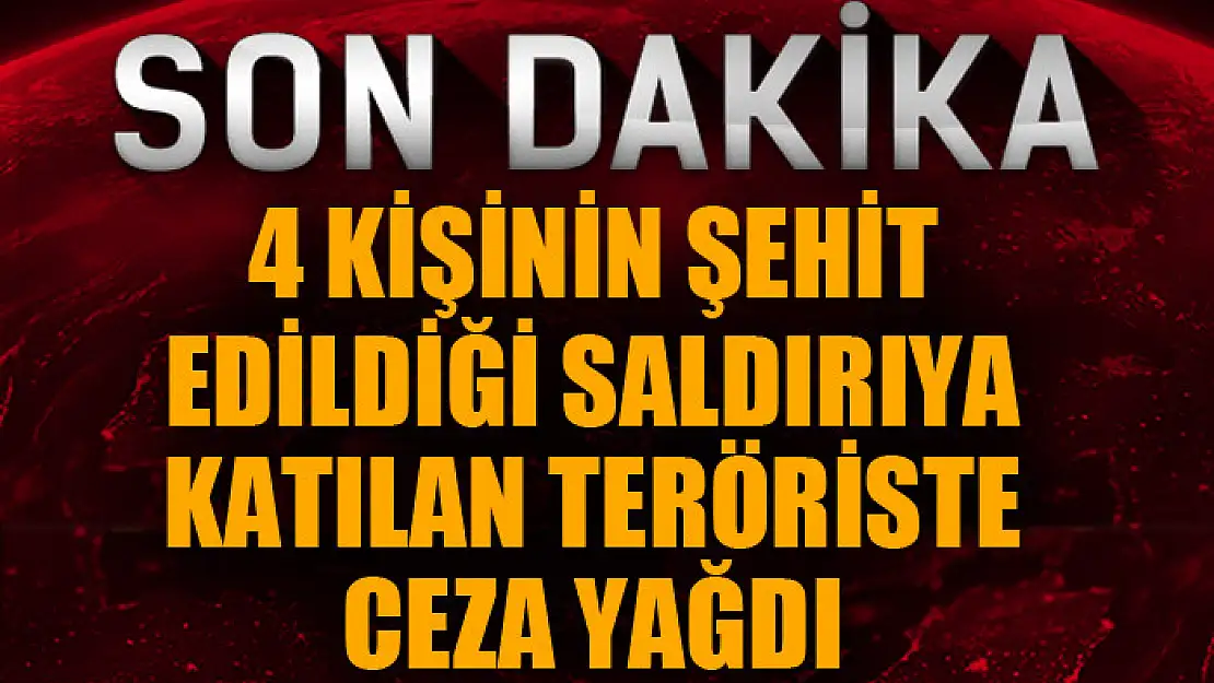 4 kişinin şehit edildiği saldırıya katılan teröriste ceza yağdı