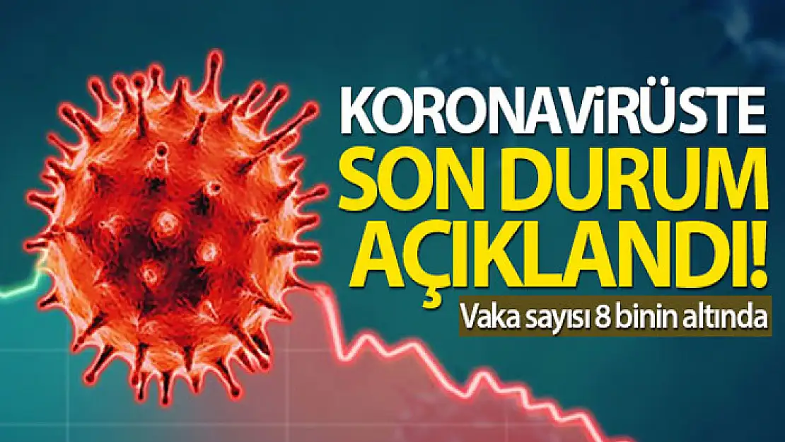 Türkiye'de son 24 saatte 7.901 koronavirüs vakası tespit edildi