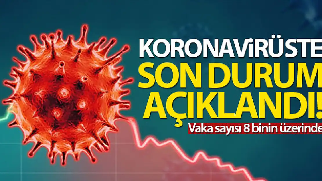 Türkiye'de son 24 saatte 8.636 koronavirüs vakası tespit edildi