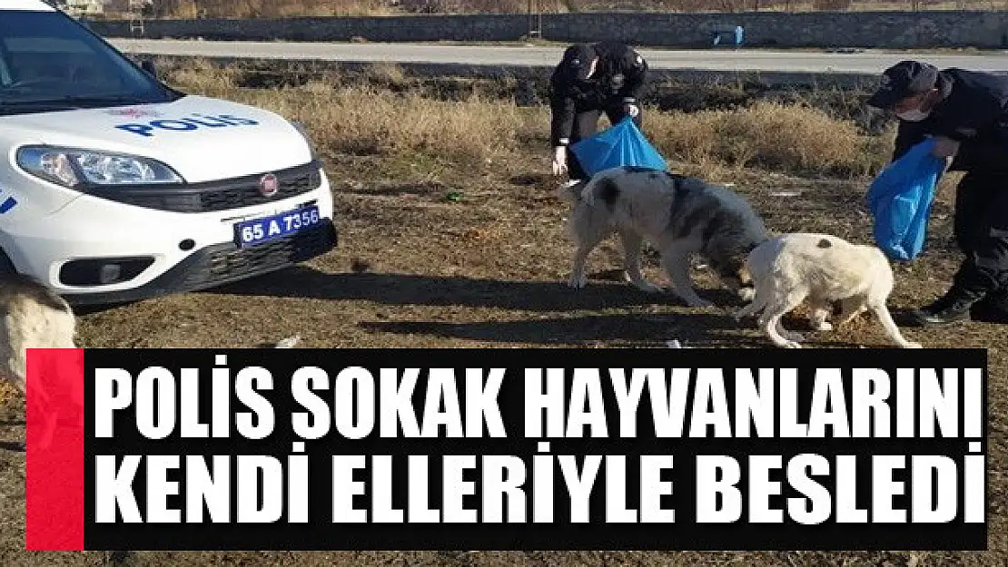 Van polisi sokak hayvanlarını kendi elleriyle besledi