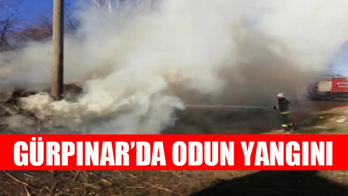 Gürpınar'da odun yangını