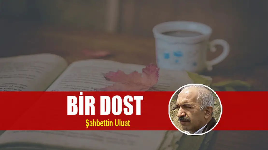 Bir dost