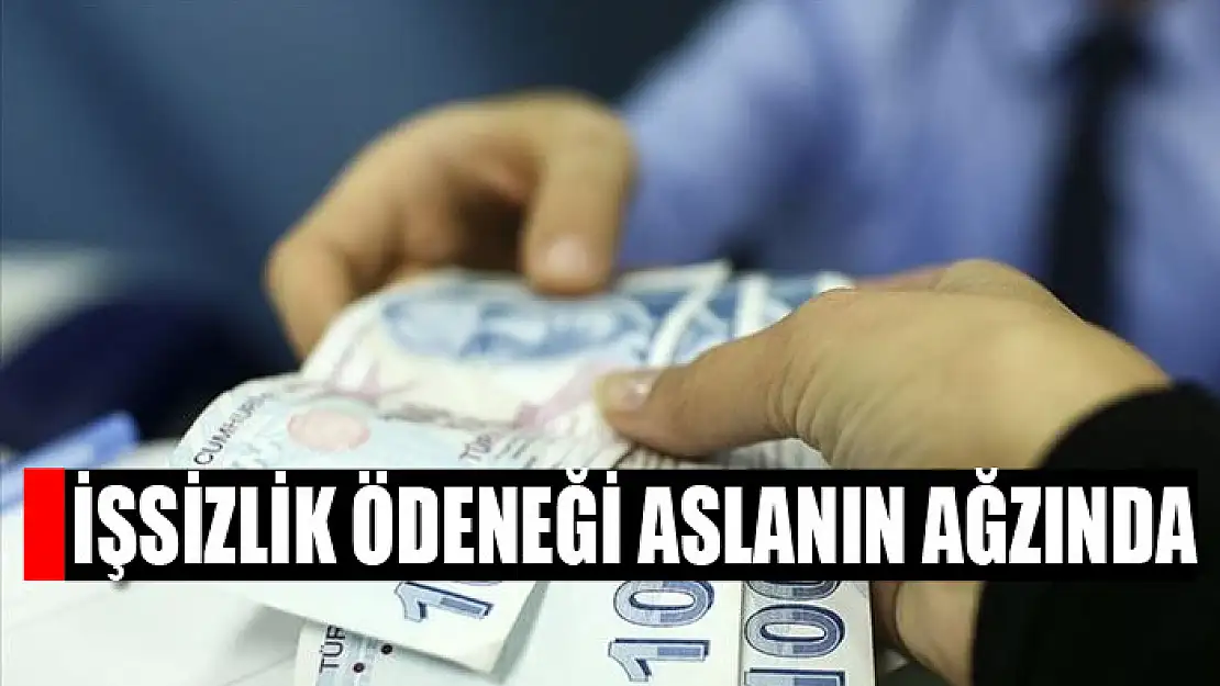 İşsizlik ödeneği aslanın ağzında