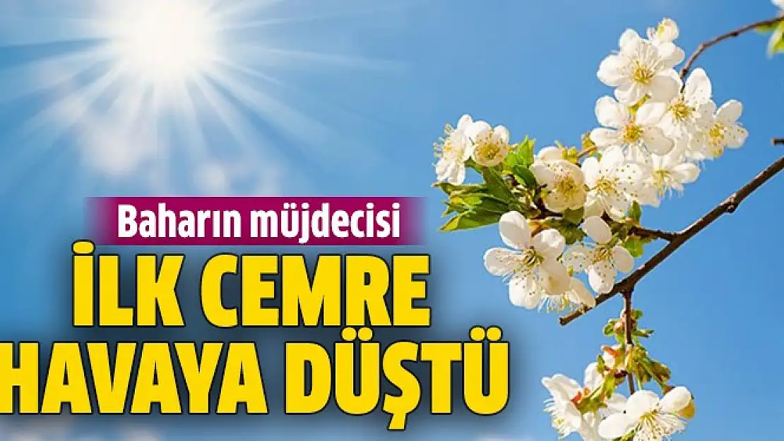Baharın müjdecisi olan ilk cemre bugün havaya düştü