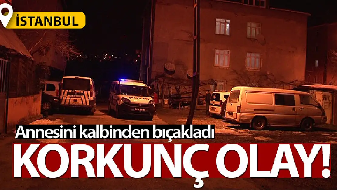 Pendik'te bıçaklı dehşet: Annesini kalbinden bıçakladı