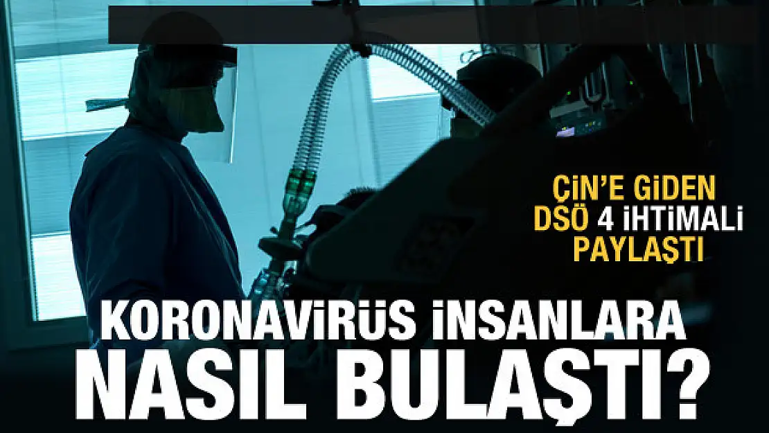 Koronavirüs insanlara nasıl bulaştı? DSÖ 4 ihtimali paylaştı