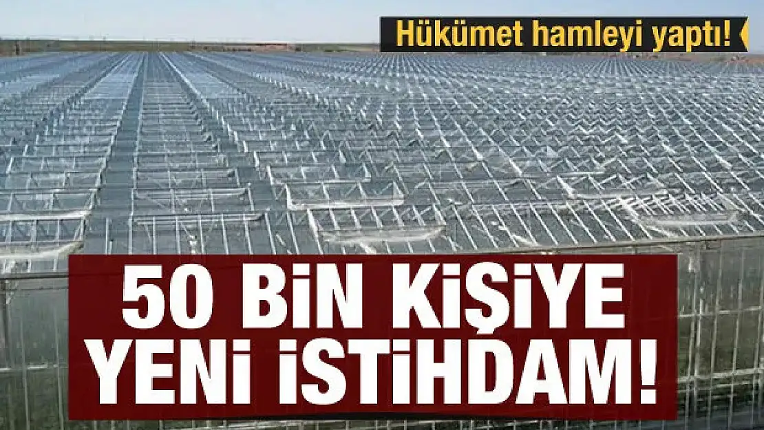 Hükümet hamleyi yaptı! 50 bin kişiye yeni istihdam