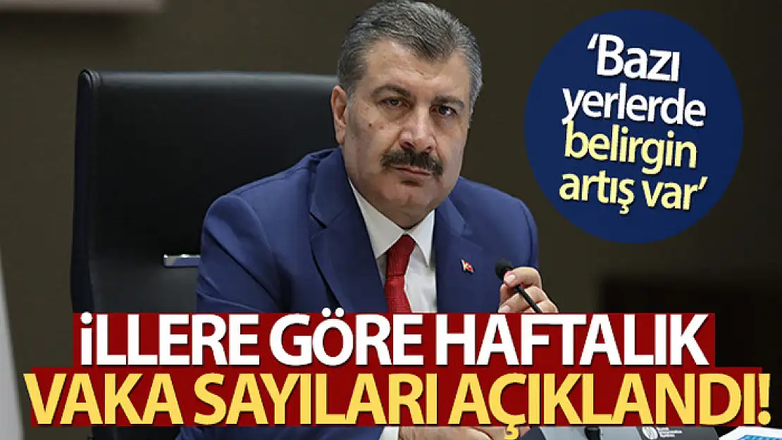 Bakan Koca, illere göre haftalık vaka sayılarını açıkladı