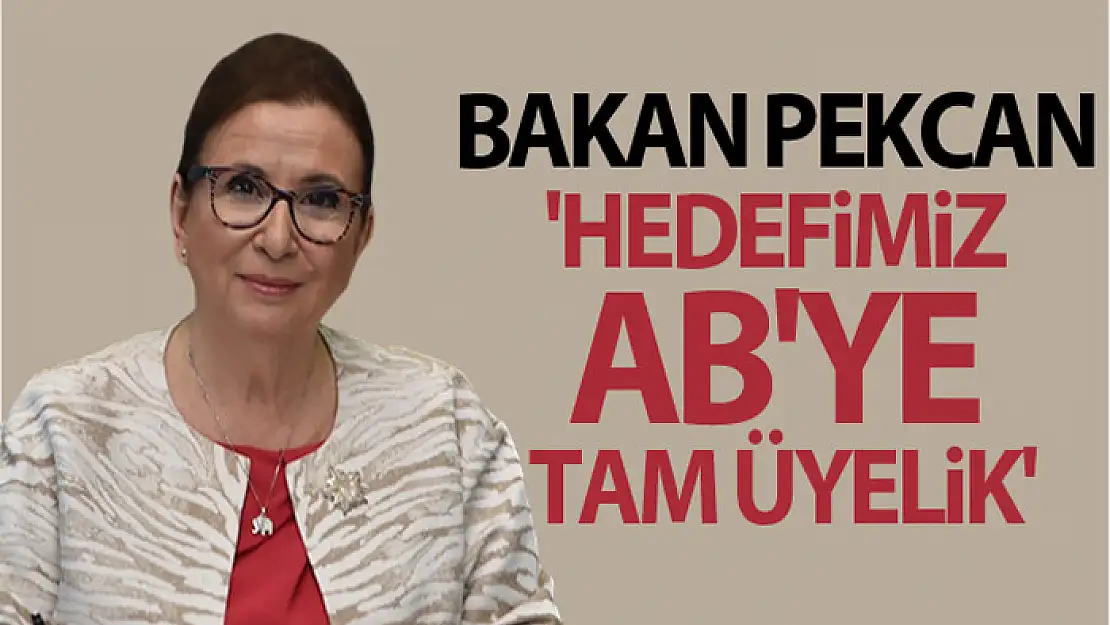 Bakan Pekcan: 'Hedefimiz AB'ye tam üyelik'