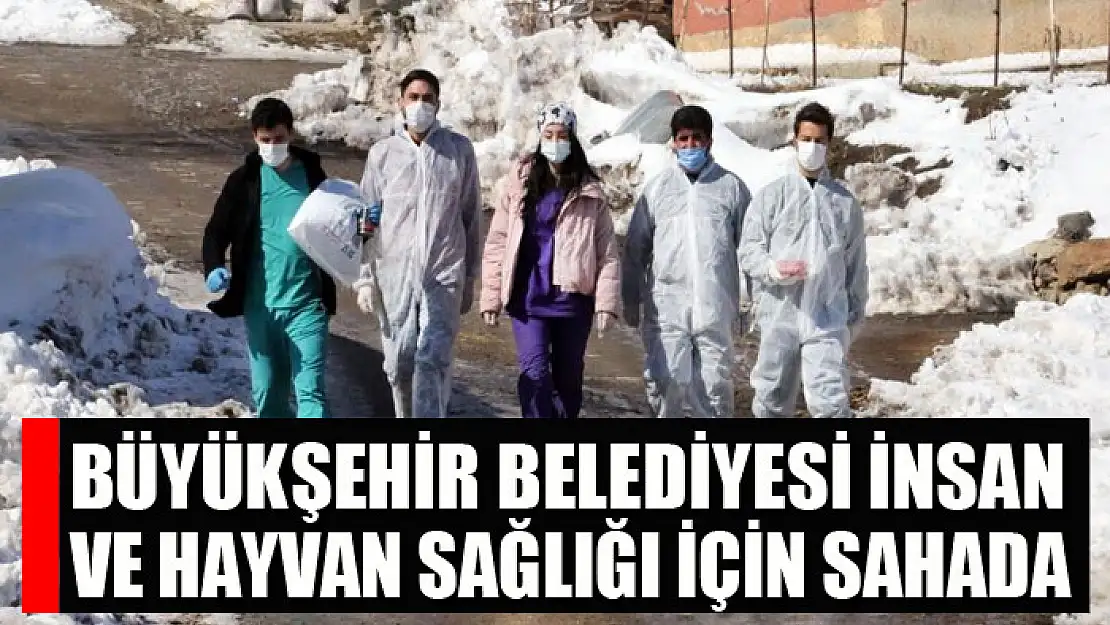 Büyükşehir Belediyesi insan ve hayvan sağlığı için sahada