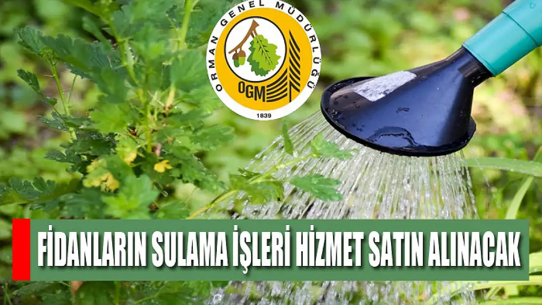 Fidanların sulama işleri hizmet satın alınacak