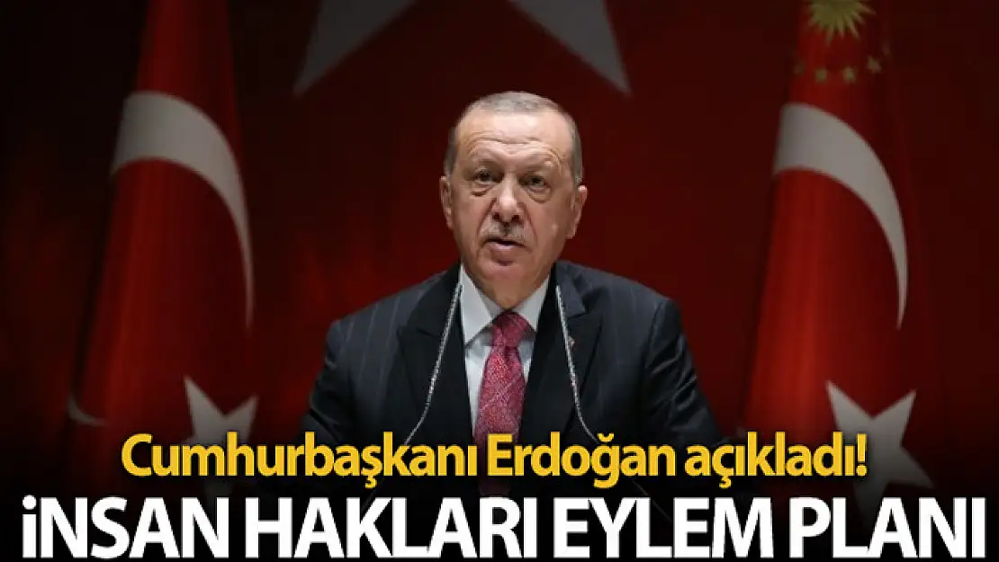 Cumhurbaşkanı Erdoğan İnsan Hakları Eylem Planı'nı açıkladı!