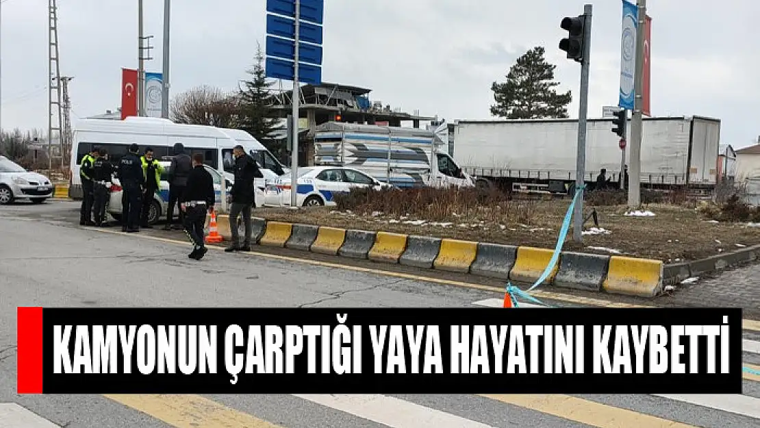 Kamyonun çarptığı yaya hayatını kaybetti