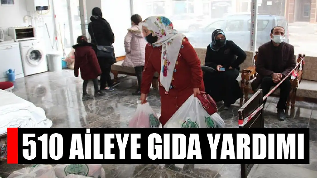 Van Umut Kervanı'ndan 510 aileye gıda yardımı