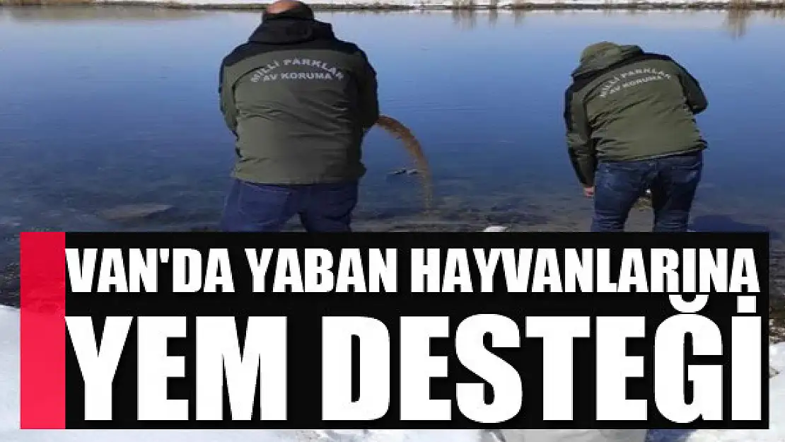 Van'da yaban hayvanlarına yem desteği