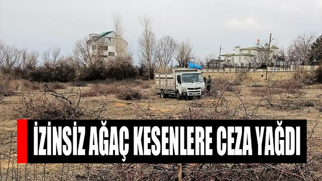 İzinsiz ağaç kesenlere ceza yağdı